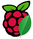 RAspberry PI - MongoDB