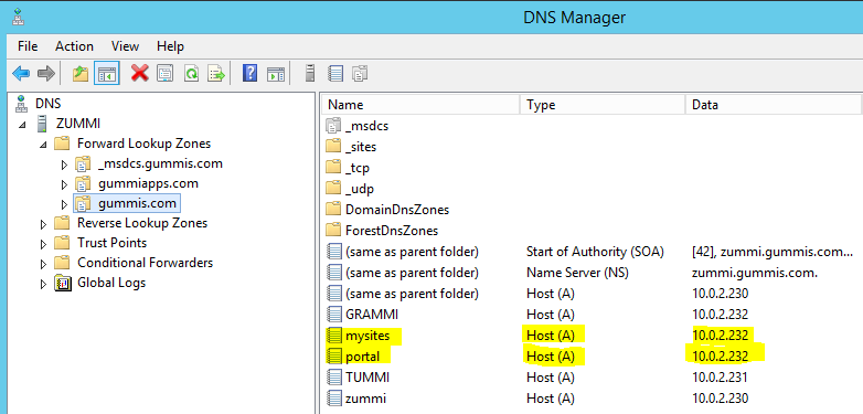 dns manager a records