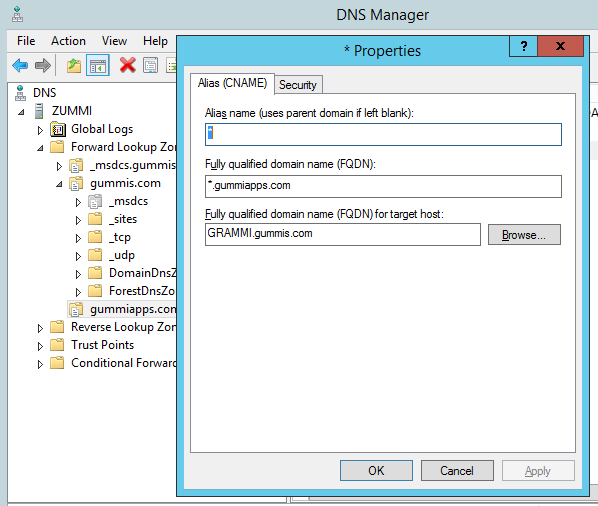 dns manager sharepoint app domain