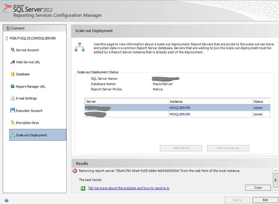 SSRS Delete Scale Out Deployment Server Error