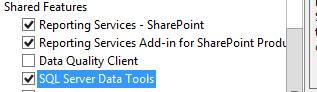 sql server reporting services add-in data tools bids